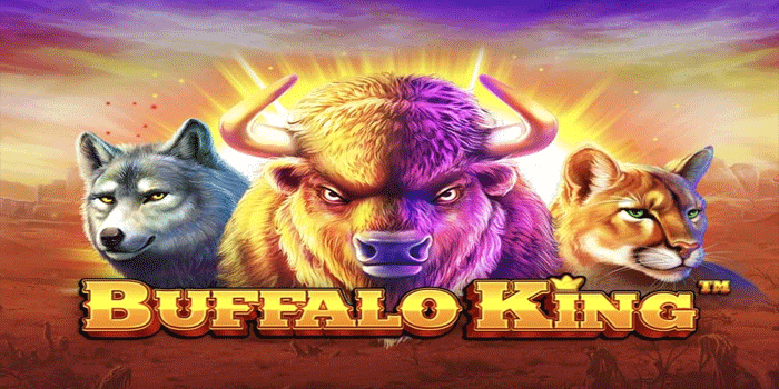 The Buffalo King Slot, a Hit-Winning Slot with a Tempting Daily Jackpot