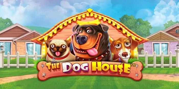 How To Play The Dog House Slot To Win A Big Jackpot