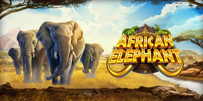 African Elephant Slot Patterns Can Help Determine Wins